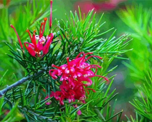 Aesthetic Grevillea paint by number