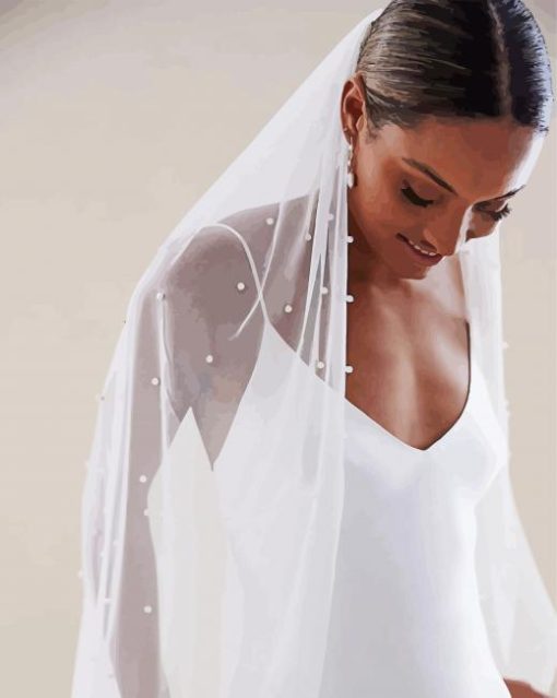 Bridal Veil paint by number