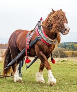 Brown English Plow Horse paint by number