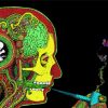 Head Anatomy Art paint by number