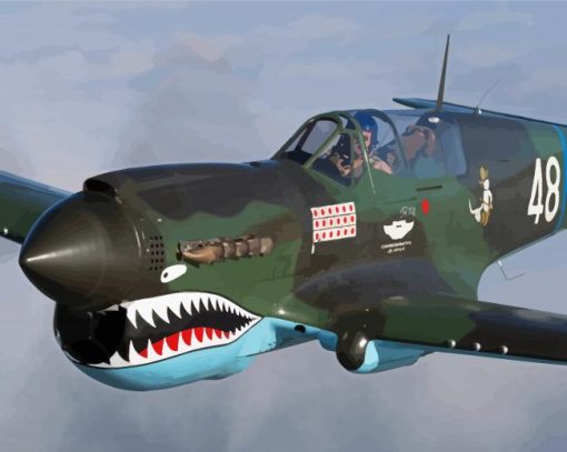 Military Warbird paint by number