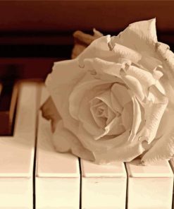 Monochrome Piano With Flowers paint by number