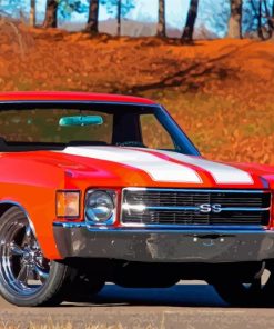 Orange Elcamino paint by number