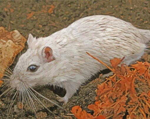 White Hairy Rat paint by number
