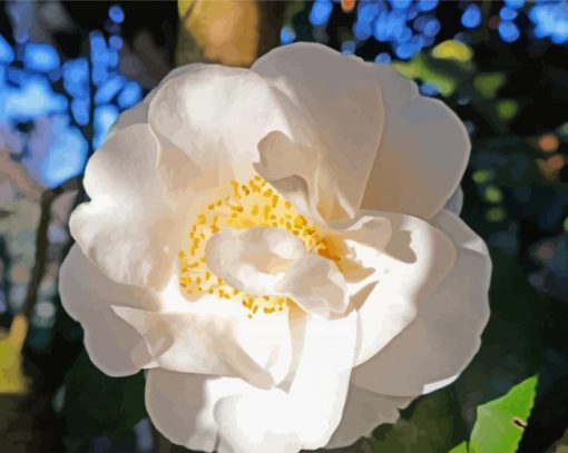 White Camellia Flower paint by number