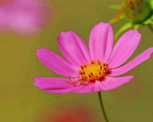 Aesthetic Pink Flower With Spider paint by number