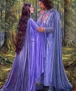 Arwen And Aragorn paint by number