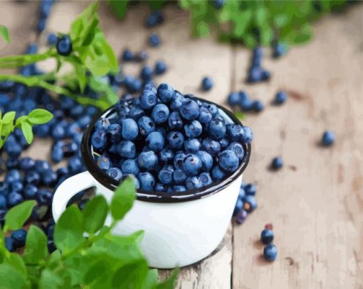 Blueberry Fruit Cup paint by number