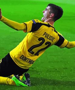 Christian Pulisic BVB Player paint by number