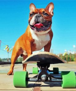 Dog Skateboard paint by number