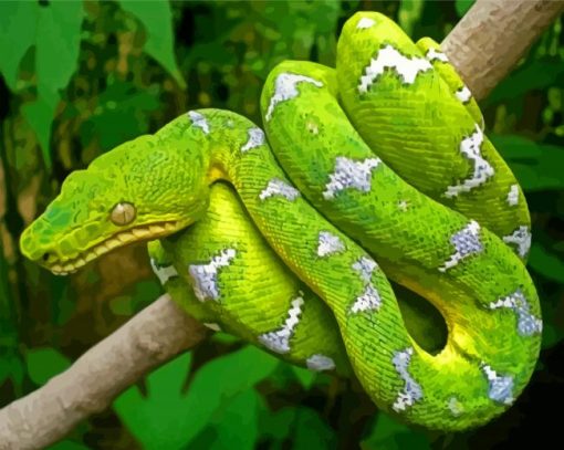 Emerald Snake paint by number