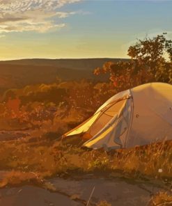 Forest And Camping Sunset paint by number