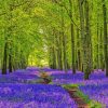 Forest With Bluebells paint by number