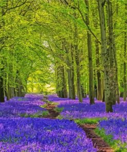 Forest With Bluebells paint by number