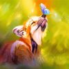 Fox And Butterfly Art paint by number