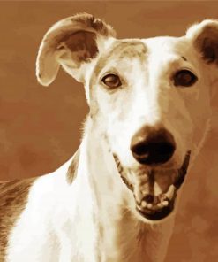 Galgo Dog Animal paint by number