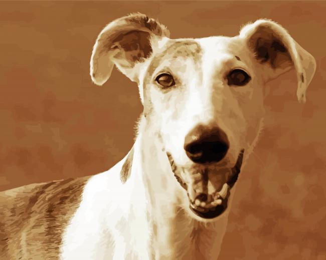 Galgo Dog Animal paint by number
