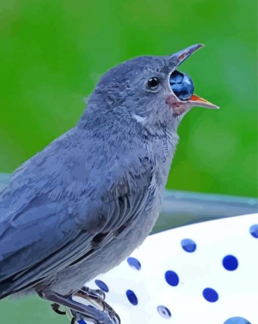 Grey Catbird Eating paint by number