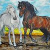 Horse Couple Art paint by number