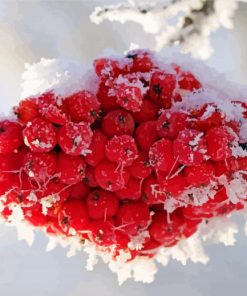 Iced Rowanberry paint by number