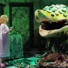 Little Shop Of Horrors Movie Character paint by number