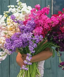 Man Holding Stocks Flowers paint by number