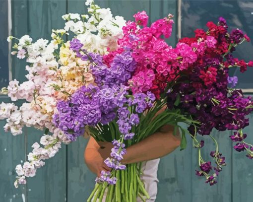 Man Holding Stocks Flowers paint by number