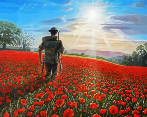 Military Soldier In Poppy Field paint by number