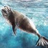 Monk Seal Underwater Art paint by number