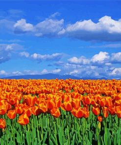 Orange Tulips Field paint by number