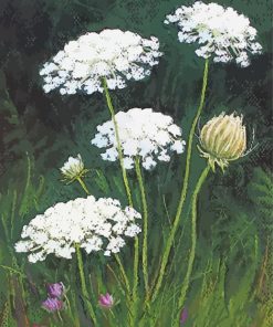 Queen Annes Lace Art Print By Lisa Kretchman paint by number