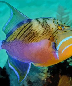 Queen Triggerfish paint by number