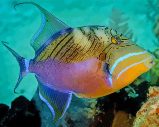 Queen Triggerfish paint by number