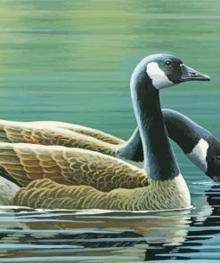 The Canada Geese Birds paint by number