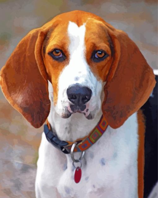 Treeing Walker Coonhound paint by number