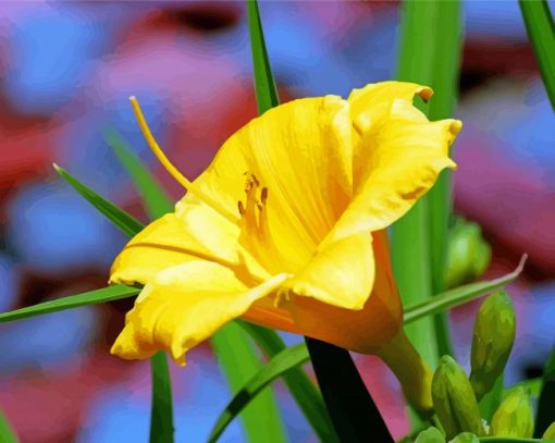 Yellow Long Daylily paint by number