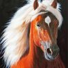 Aesthetic Brown Horse Head paint by number