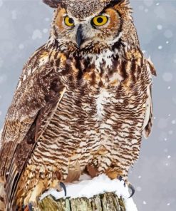Aesthetic Horned Owl paint by number