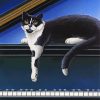 Black Cat And Piano paint by number