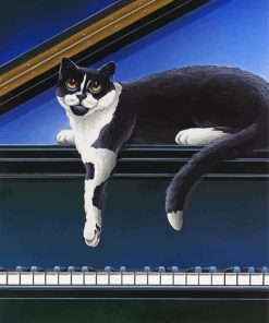 Black Cat And Piano paint by number