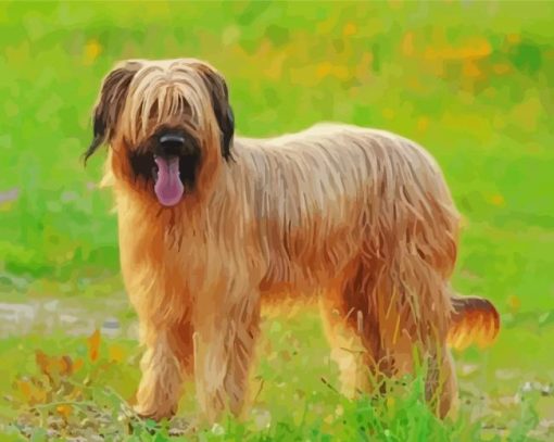 Briard Dog Animal paint by number