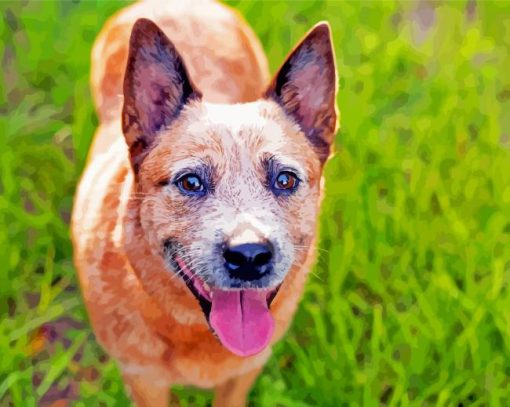 Cute Australian Cattle Dog paint by number