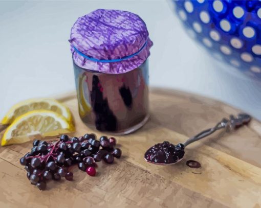 Elderberry Jam paint by number