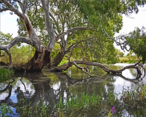 Gumtree Above The Pond paint by number