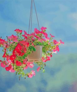 Hanging Pink Plants paint by number