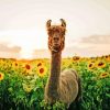 Liama In Sunflower Field paint by number