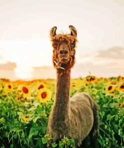 Liama In Sunflower Field paint by number