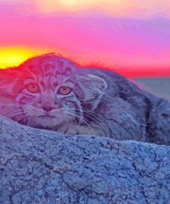 Manul At Sunset paint by number