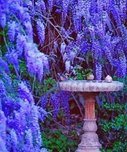 Mystical French Wisteria paint by number