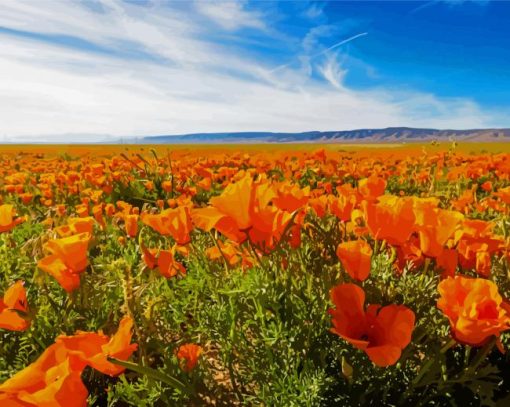 Orange Flowers In Field paint by number